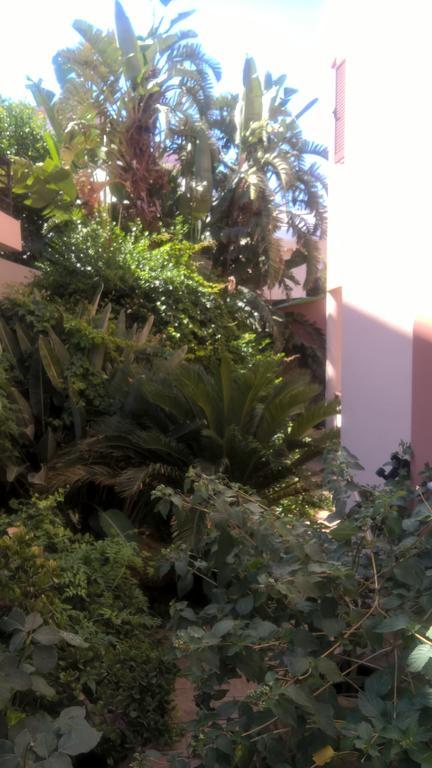 Ferienwohnung Rosmarino Kíssamos Exterior foto